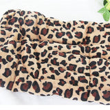 Dog Fleece Blanket