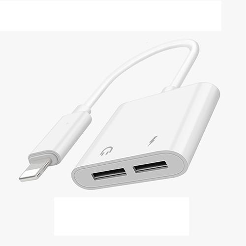 iPhone Charging/Audio Adapter